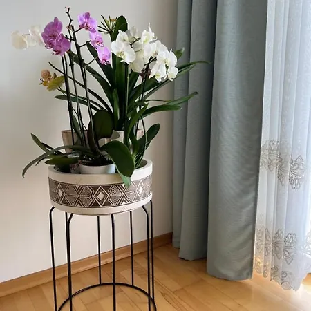 Acasa Apartment *