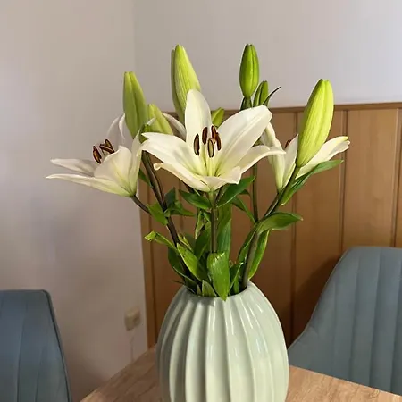 Apartment Acasa Spielberg Bei Knittelfeld
