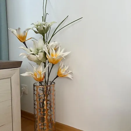 Acasa Apartment