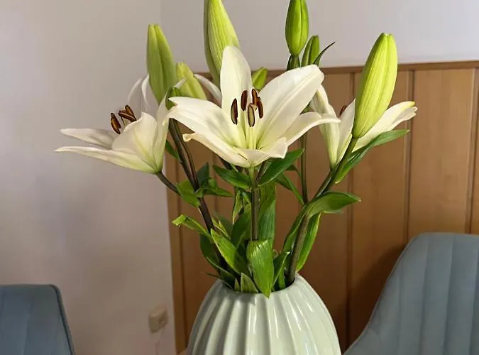 Appartamento Acasa Spielberg Bei Knittelfeld